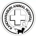iMed : โรงพยาบาลสัตว์กาญจนบุรี จ.กาญจนบุรี